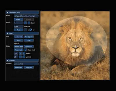 AI 图像编辑技术 DragGAN 开源，拖动鼠标即可将狮子 P 转头