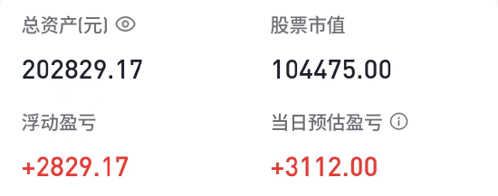 胡锡进：目前实现盈利2829元 跑赢了今天A股涨幅