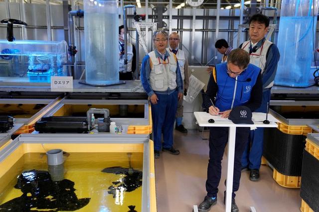 韩国议员团称IAEA报告毫无科学根据 将赴日全力阻止核污水排海