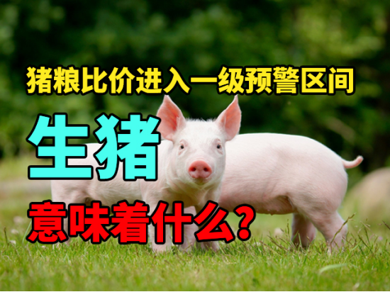 生猪：猪粮比价进入一级预警区间，意味着什么？