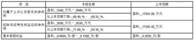 广东汕头超声电子股份有限公司2023年半年度业绩预告