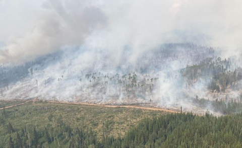外媒：加拿大山火烧毁面积相当于冰岛国土 危险烟雾再次飘入美国