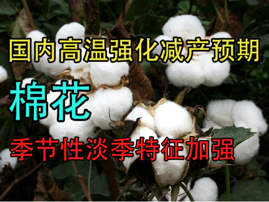 国内高温强化减产预期，棉花季节性淡季特征加强