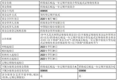 关于恢复招商核心竞争力混合型证券投资基金大额申购（含定期定额投资）和转换转入业务的公告