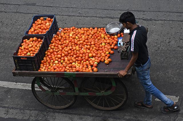 印度番茄价格狂飙近6倍，真人版“偷菜”在各地上演